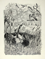 Отрошко О.П. (1939 -2026)