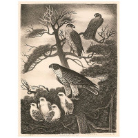 Отрошко О.П. (1939 -2026)
